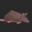 Ebola Rat