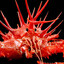 CRAB