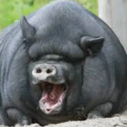 🏵️WeBloodOk🏵