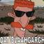 Nigel Thornberry