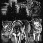 Wolfsrudel_GE_Ger - steam id 76561197967619256