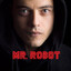 MR.ROBOT