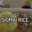 Siomai Rice!