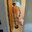gordon ramsay ass avatar