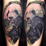 KD.Gunz - Panda - steam id 76561197965687152