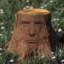 Donald TreeStump