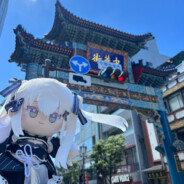 冬菌今天吃什么