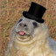 Seal with a tophat