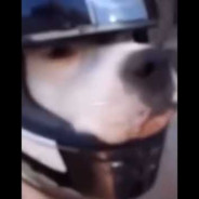 Pirra