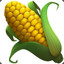 cornpro423