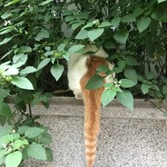 베키의촉촉한코