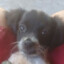 Guilherme_04155
