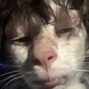 马嘉祺超绝鸡肉面条