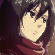 mikasa