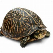 mrturtles452