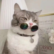 悲伤酸辣方便面