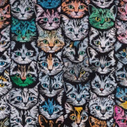 辣条味鱼豆腐Zzz