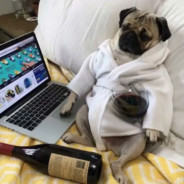 比奇堡突破手派大星