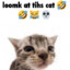ok