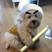 交给我您就闹心吧