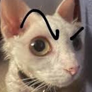 Memo avatar
