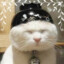 Japonia/Culcat ✩︻デ
