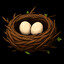 Vogelnest