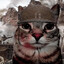 Birch_Owl