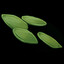 Ghost of Hempseed