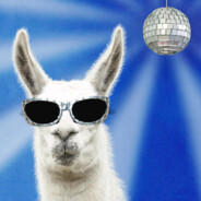Disco Llama