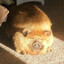 Glarp