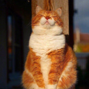 不正经的巴巴托斯