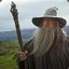 Gandalf Gray