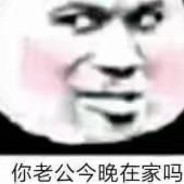 我与春风携手归来