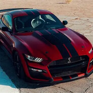 Ford Mustang Enjoyer