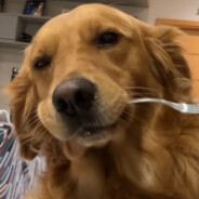 在大润发杀了十年鱼