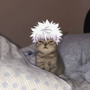 ᶻˣᶜ𝖍𝖎𝖑𝖞𝖝