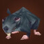 rato de esgoto
