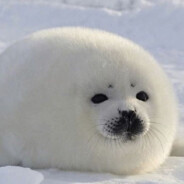 ドラゴンバスター健二