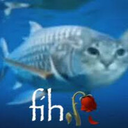 fih