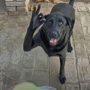 欧布.欧克亚.荷矛