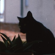 Gentilhomme de Fortune - steam id 76561197966958890