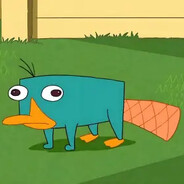 Perry the Platypus