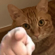 赚钱只为青楼重逢