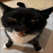 Demonic_Cat31