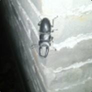 大卫萝卜DavidRobo