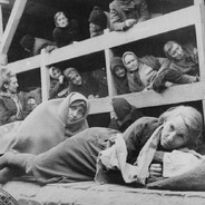 AuschwitzAshes Steam avatar