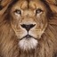 LION*