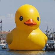 Quack's Avatar