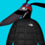 RapidoTNF